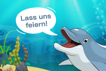 Bild Delfin
